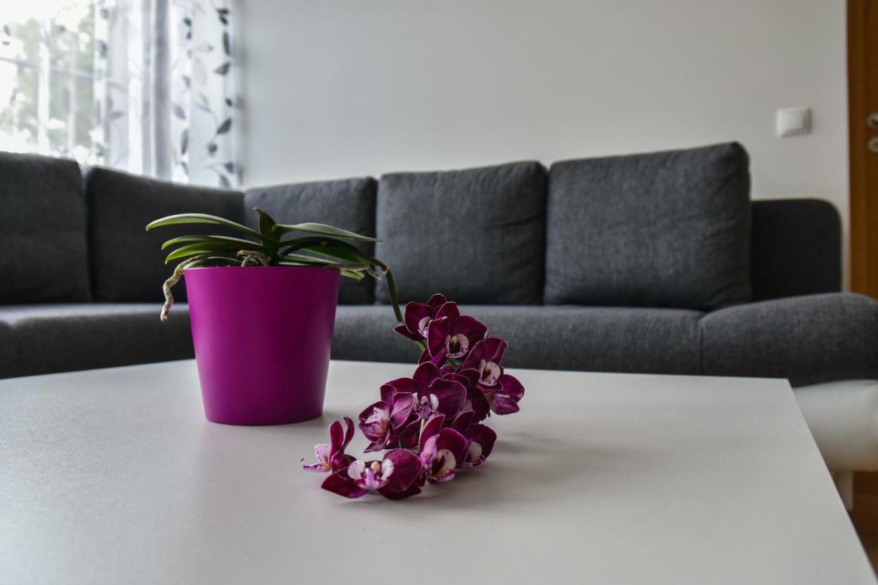 Mardi Downtown Apartment Tallinn Ngoại thất bức ảnh